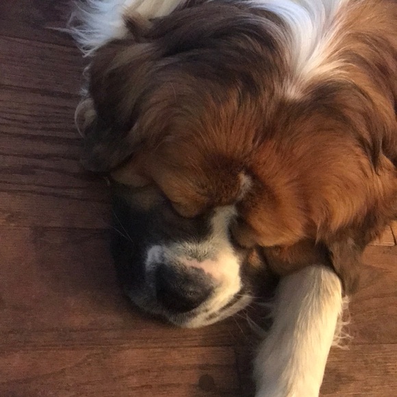 Meet your Posher, Mark - Picture 1 of 1